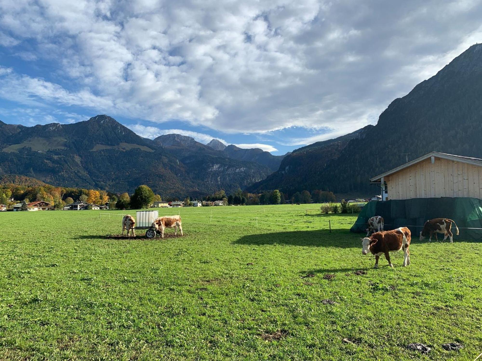 Ferienwohnung Hochkalterblick Schönau am Königssee Eksteriør bilde